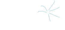Bloom Flower